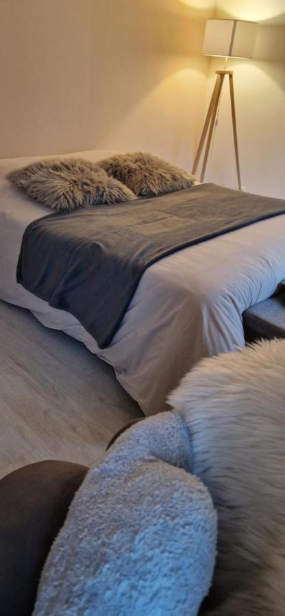 Apartment Cosy Complet Centre-ville *